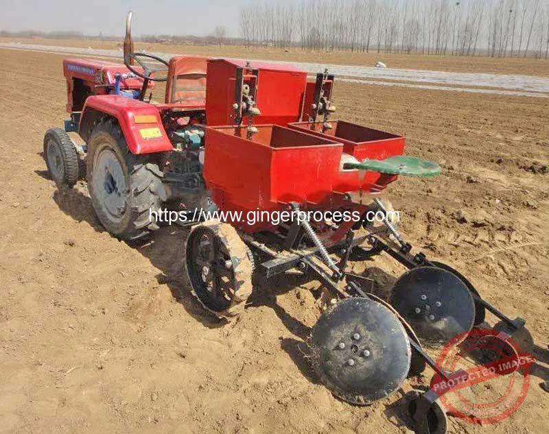 Double-Row-Ginger-Planter-with-Tractor
